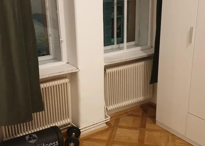 Large House Heart Of Vienna